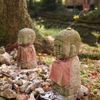 京都補完計画 其ノ肆拾伍