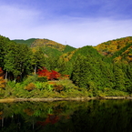 緑ヶ池
