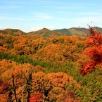 燃える山