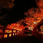 紅葉　岩屋堂公園2