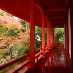 大覚寺４