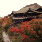 京都補完計画 其ノ陸拾陸