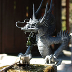 龍