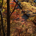 金精峠