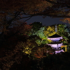 椿山荘ライトアップ1