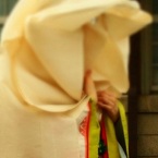 春日若宮おん祭Ⅳ　