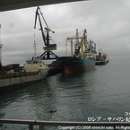 rosia_06_05