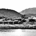 京都嵐山