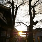 神域より