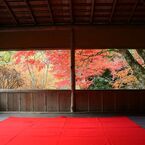 そうだ京都を写そう！白龍園５