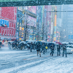 ある雪の日の秋葉原(中央通り横断歩道)