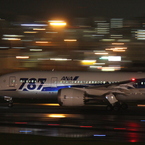 ANA B787-8