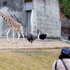 Nagoya ZOO #5