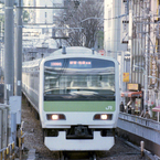 緑のアイツ