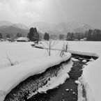 Memory of the Princess Tatsuko