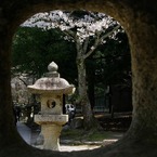 向うに