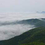 雲海