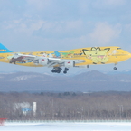 雪レフ