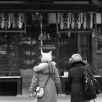 橋を渡るまで。
