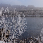 DSC01963