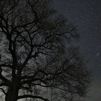 わに塚の桜の木と星空