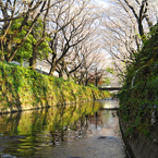 千本桜_2