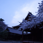 YASUKUNI #4