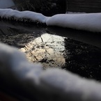 氷が張ってる