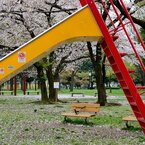 桜のある風景
