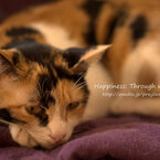 KTheL2013Feb_2