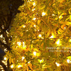 illumination2012winter_2
