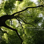 fourseasons2010_1