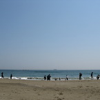 夏
