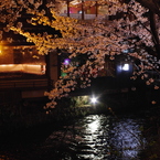 夜華の有る店