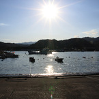 田老港