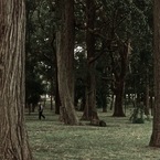 公園、歩く老人。