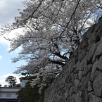 霞ヶ城公園