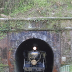 トンネルから、こんにちは