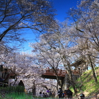 水鏡に惹き込まれて