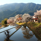 朝日に輝く「三多気の集落」