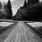 晴れ舞台へ　～Murou Art Forest～
