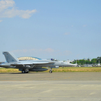 EAGLES