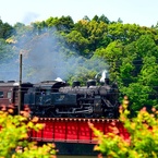 大井川鉄道-2