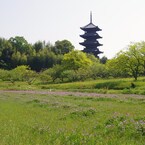 IMGP6629