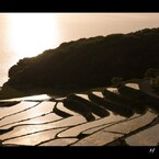 土谷棚田12