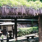 ２０１３．５　京都