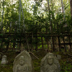 近江名刹紀行【石の寺－教林坊】　祈り