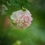 DSC03811