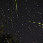 周る星　舞う蛍