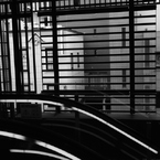 a lattice window